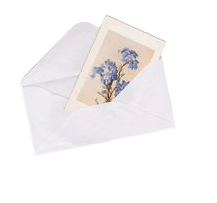 envelope with a purple flower